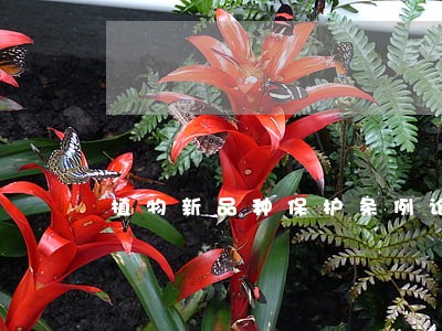 植物新品种保护条例论文范文 植物新品种保护条例论文范文