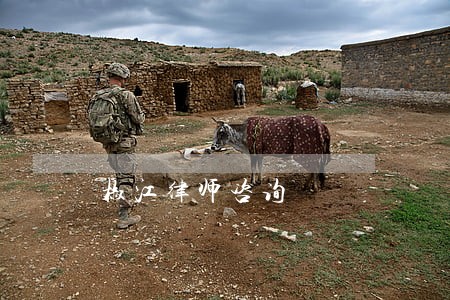 椒江律师咨询 椒江律师咨询