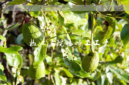 椒江法院临时工工资 椒江法院临时工工资