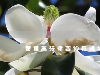 楚信赢法律咨询有限公司 楚信赢法律咨询有限公司