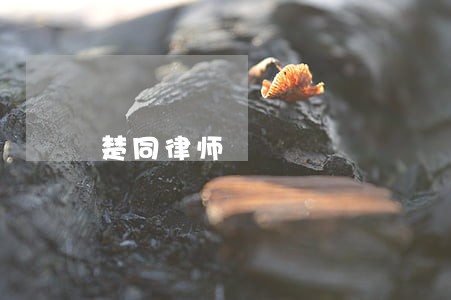 楚同律师