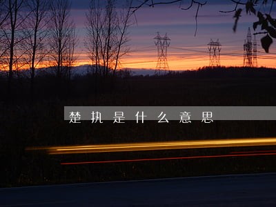 楚执是什么意思 楚执是什么意思