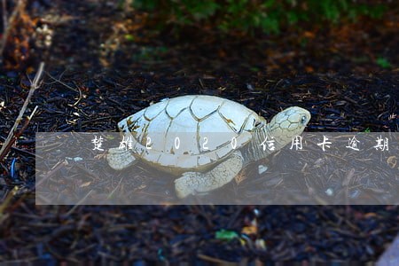 楚雄2020信用卡逾期名单