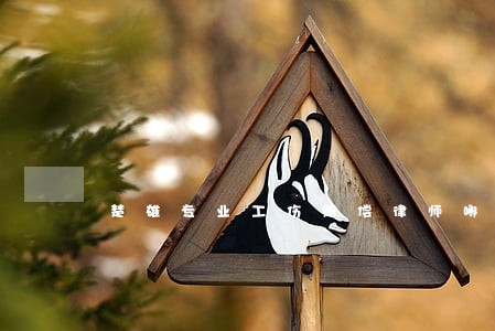 楚雄专业工伤赔偿律师哪家好 楚雄专业工伤赔偿律师哪家好