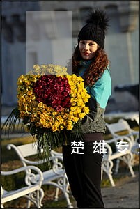 楚雄专业的购房合同律师收费标准 楚雄专业的购房合同律师收费标准
