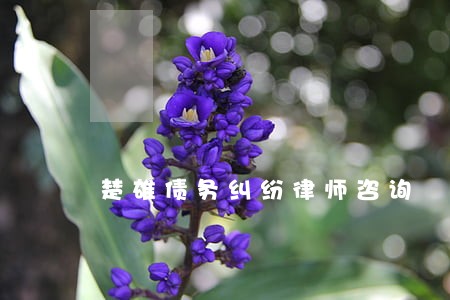 楚雄债务纠纷律师咨询 楚雄债务纠纷律师咨询