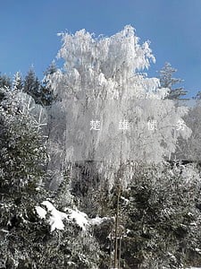 楚雄债务纠纷律师怎么收费 楚雄债务纠纷律师怎么收费