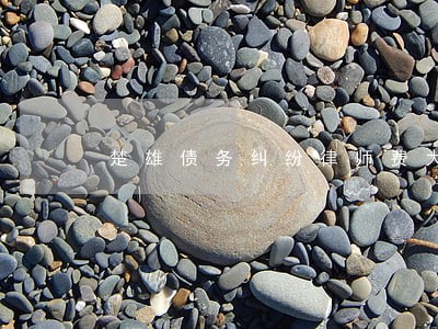 楚雄债务纠纷律师费大概多少 楚雄债务纠纷律师费大概多少
