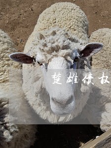 楚雄债权债务纠纷律师案件 楚雄债权债务纠纷律师案件