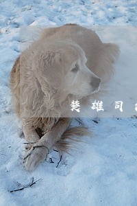楚雄司法亲子鉴定中心 楚雄司法亲子鉴定中心