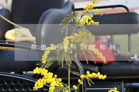 楚雄合同纠纷律师网 楚雄合同纠纷律师网