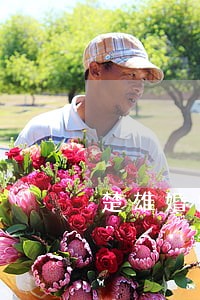 楚雄婚姻纠纷律师费用 楚雄婚姻纠纷律师费用