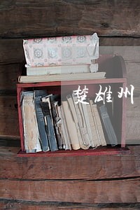 楚雄州法院工作人员