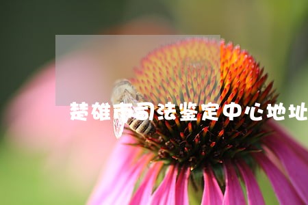 楚雄市司法鉴定中心地址电话 楚雄市司法鉴定中心地址电话