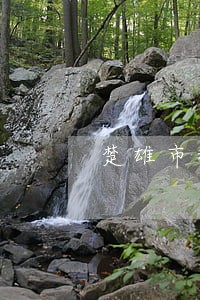 楚雄市税务风险评估逾期 楚雄市税务风险评估逾期