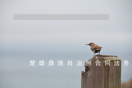 楚雄彝族自治州合同法务律师 楚雄彝族自治州合同法务律师