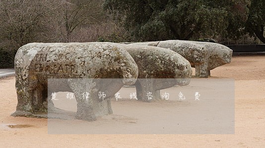 楚雄律师在线咨询免费 楚雄律师在线咨询免费