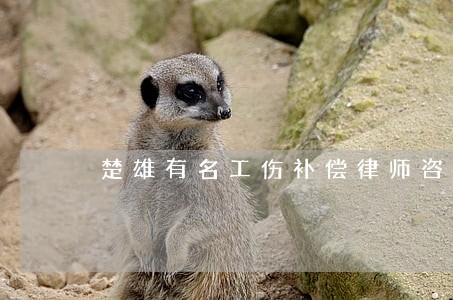 楚雄有名工伤补偿律师咨询 楚雄有名工伤补偿律师咨询