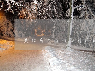 楚雄有名的债务纠纷律师 楚雄有名的债务纠纷律师
