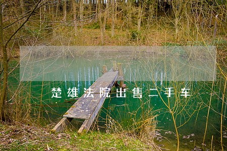 楚雄法院出售二手车 楚雄法院出售二手车
