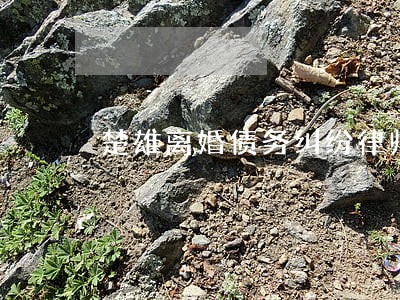 楚雄离婚债务纠纷律师 楚雄离婚债务纠纷律师