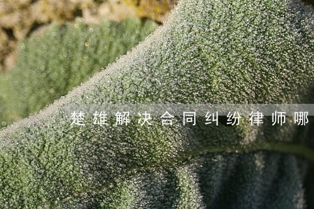 楚雄解决合同纠纷律师哪个好 楚雄解决合同纠纷律师哪个好