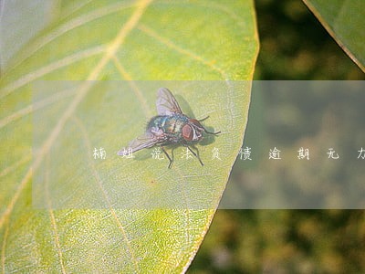 楠姐说法负债逾期无力偿还 楠姐说法负债逾期无力偿还