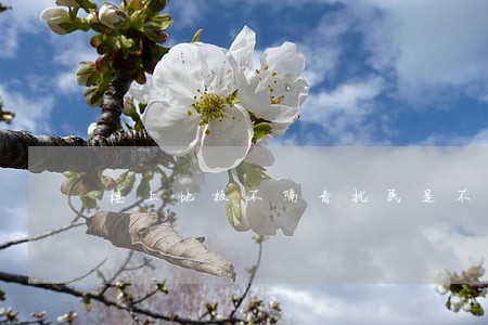 楼上地板不隔音扰民是不是违法 楼上地板不隔音扰民是不是违法