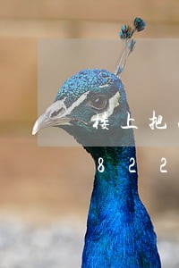 楼上把次卧改厨房违法吗/2023020822643 楼上把次卧改厨房违法吗/2023020822643