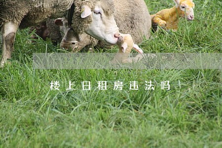 楼上日租房违法吗 楼上日租房违法吗