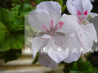 楼上滴水声音扰民法律责任 楼上滴水声音扰民法律责任