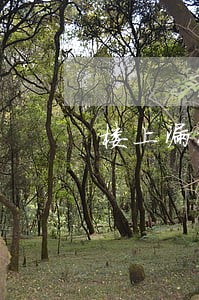 楼上漏水纠纷律师免费咨询 楼上漏水纠纷律师免费咨询