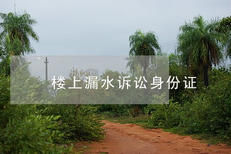 楼上漏水诉讼身份证 楼上漏水诉讼身份证