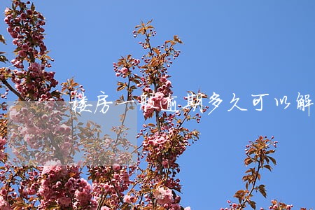 楼房一般逾期多久可以解除合同 楼房一般逾期多久可以解除合同