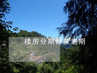 楼房分期付款逾期 楼房分期付款逾期