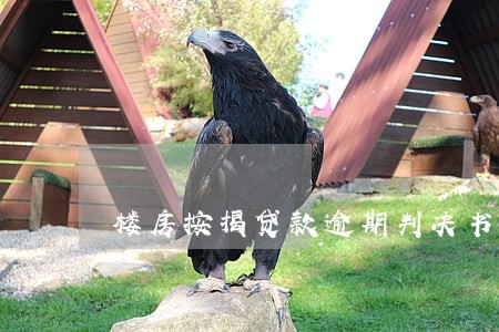 楼房按揭贷款逾期判决书 楼房按揭贷款逾期判决书