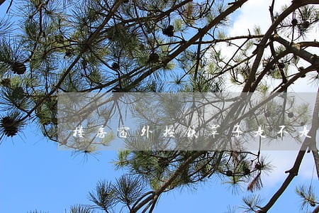楼房窗外按铁罩子是不是违法 楼房窗外按铁罩子是不是违法