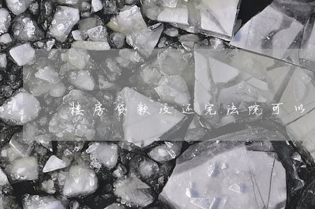 楼房贷款没还完法院可以拍卖吗 楼房贷款没还完法院可以拍卖吗