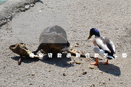 楼房贷款逾期罚款怎么算 楼房贷款逾期罚款怎么算