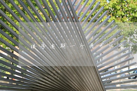 楼房逾期一个月可以坐飞机吗 楼房逾期一个月可以坐飞机吗