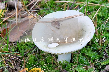 楼房逾期两年违约金给多少 楼房逾期两年违约金给多少