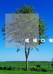楼梯口安装监控违法吗
