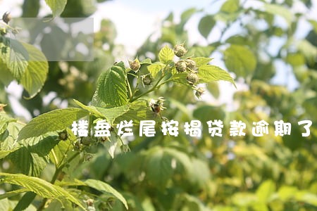 楼盘烂尾按揭贷款逾期了怎么办 楼盘烂尾按揭贷款逾期了怎么办