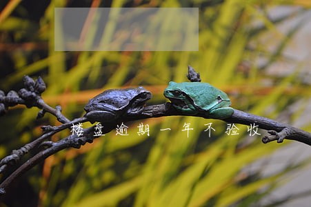 楼盘逾期一年不验收