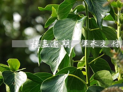楼盘逾期一年未交付