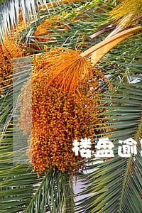 楼盘逾期一年未交会怎么样 楼盘逾期一年未交会怎么样
