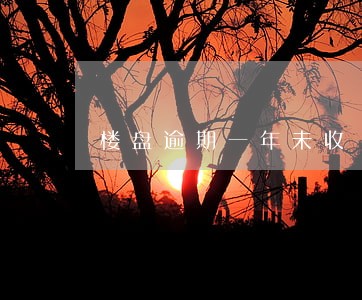 楼盘逾期一年未收 楼盘逾期一年未收