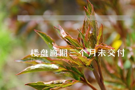 楼盘逾期三个月未交付 楼盘逾期三个月未交付