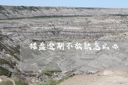 楼盘逾期不放款怎么办 楼盘逾期不放款怎么办