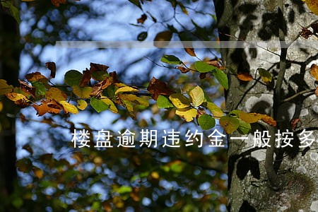 楼盘逾期违约金一般按多少 楼盘逾期违约金一般按多少